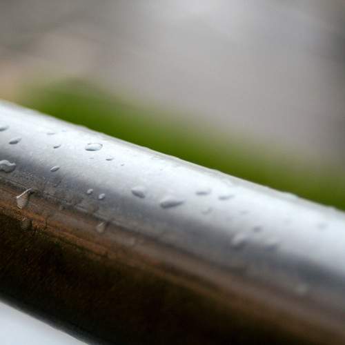 Photo #12589592