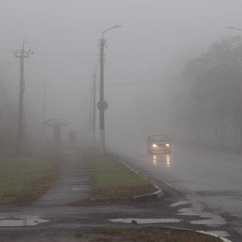 Photo #12589629