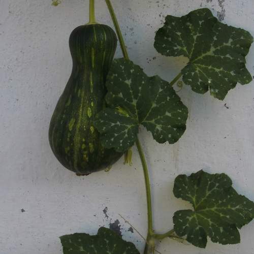 Photo #12589806