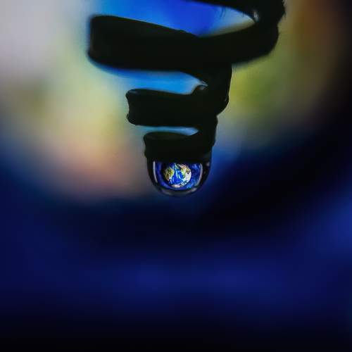 Photo #12589840
