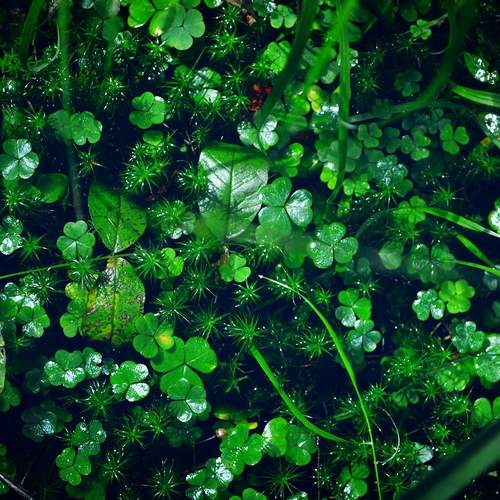 Photo #12590005