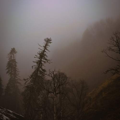 Photo #12590094
