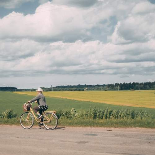 Photo #12590169