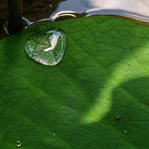 Photo #12590184