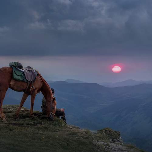 Photo #12590256