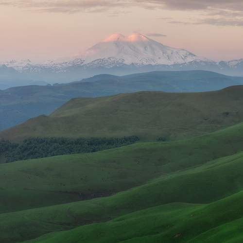 Photo #12590266