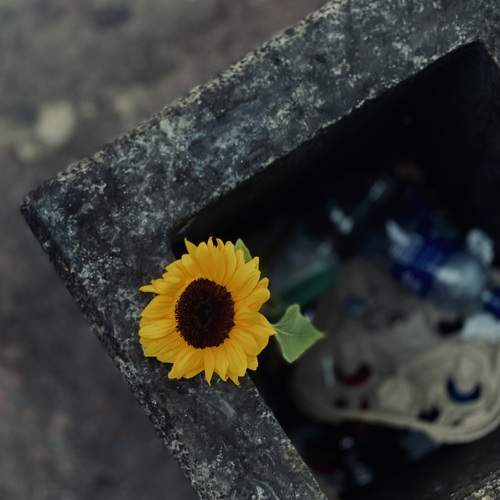 Photo #12590391