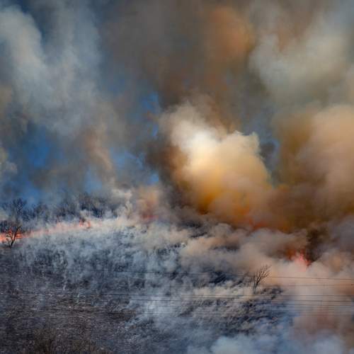 Photo #12590399