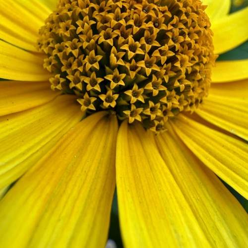 Photo #12590767