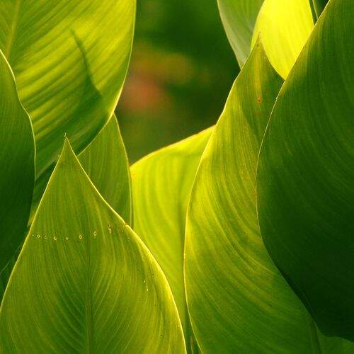 Photo #12590797