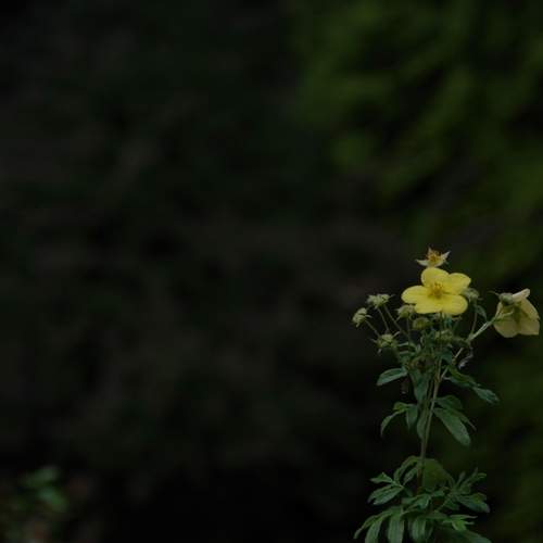 Photo #12590806
