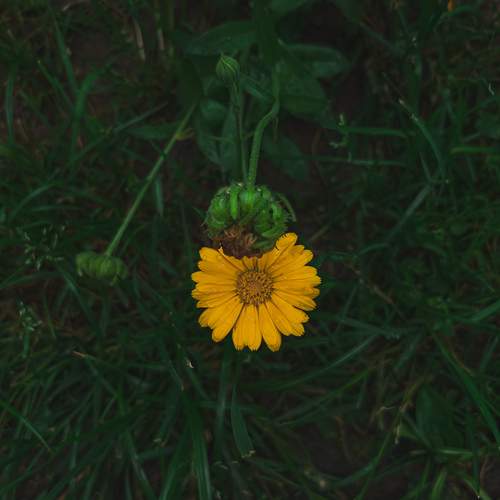 Photo #12590887
