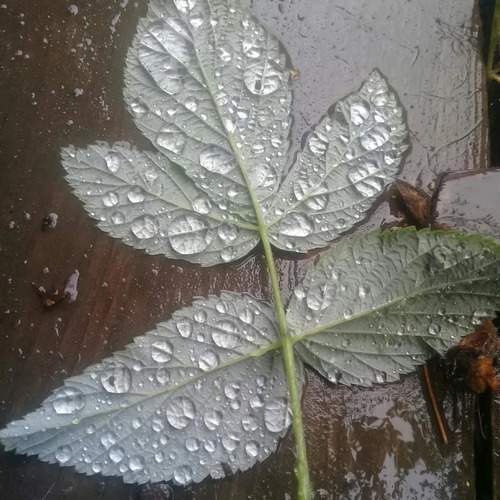 Photo #12590902