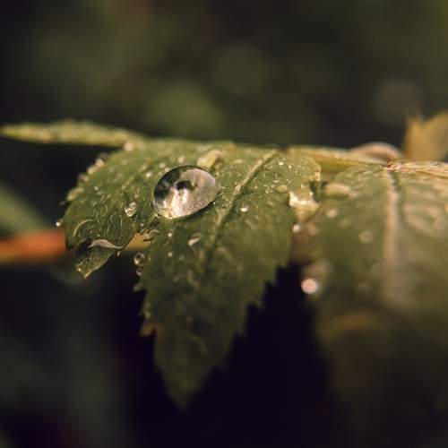 Photo #12590946
