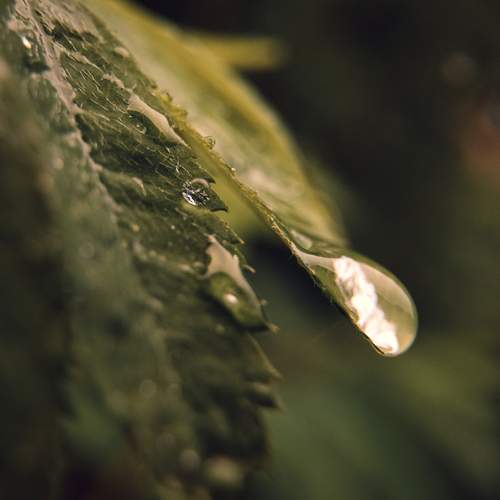 Photo #12590947