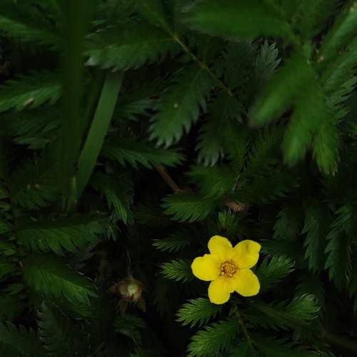 Photo #12591084