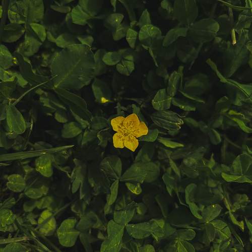Photo #12591425
