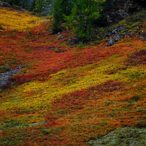 Photo #12591503