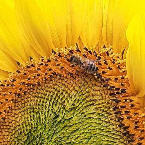 Photo #12591551