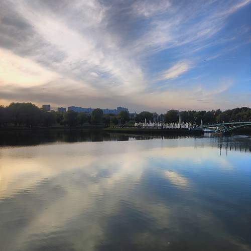 Photo #12591744