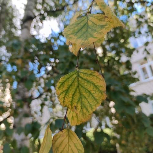 Photo #12591747