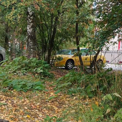 Photo #12591748