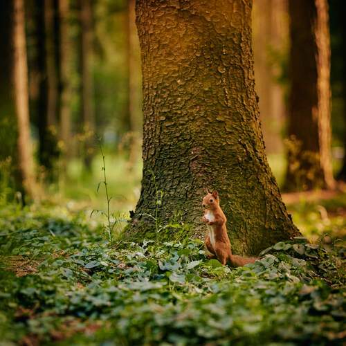 Photo #12591797