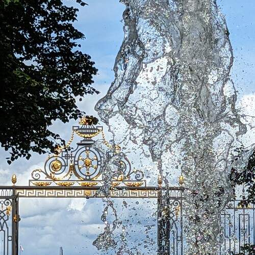 Photo #12591814