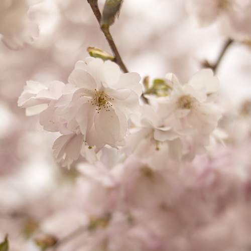 Photo #12592304