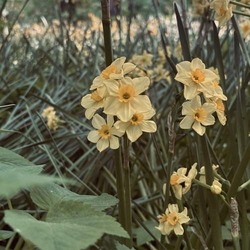 Photo #12592418