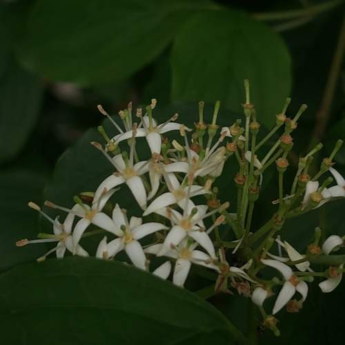 Photo #12592496