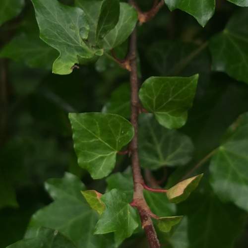 Photo #12592499