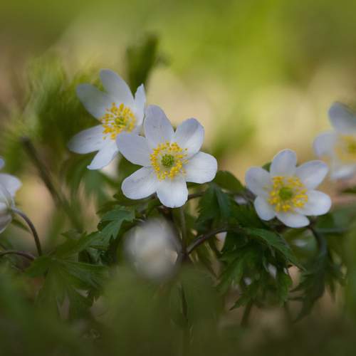 Photo #12592551