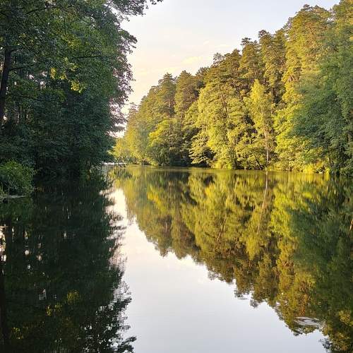 Photo #12592610