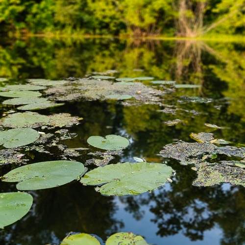 Photo #12592612