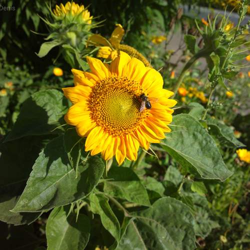 Photo #12593223