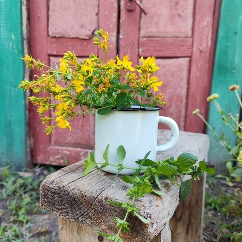 Photo #12593242