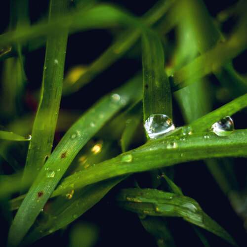 Photo #12593246