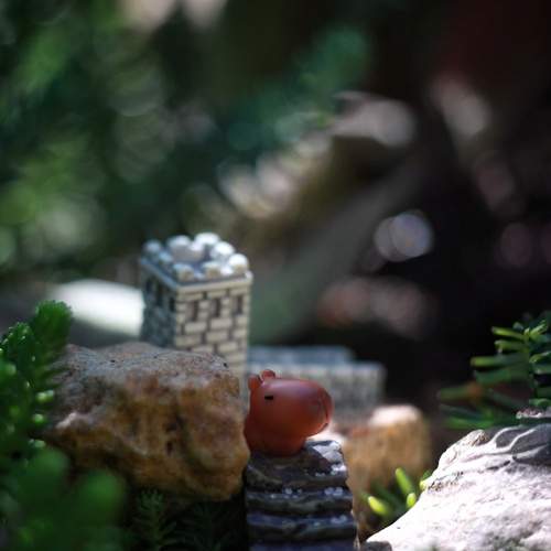 Photo #12593414