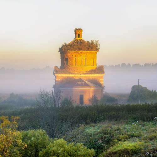 Photo #12593522