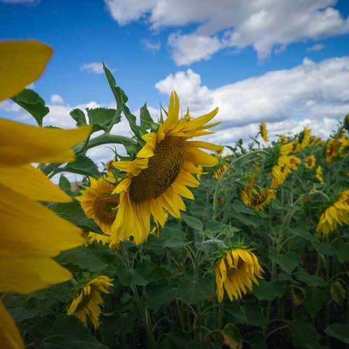 Photo #12593543