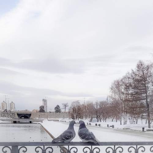Photo #12593609