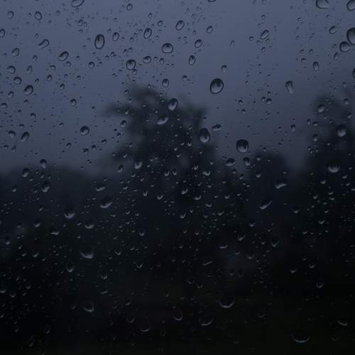 Photo #12593682