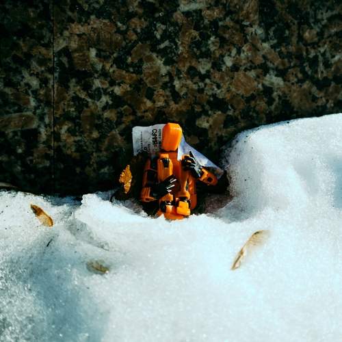 Photo #12594007