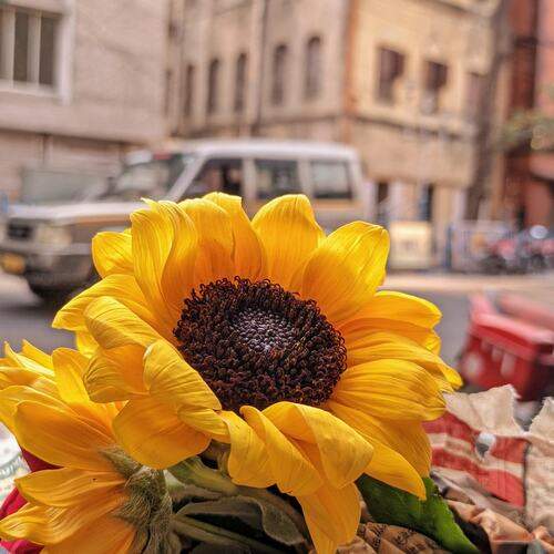 Photo #12594084