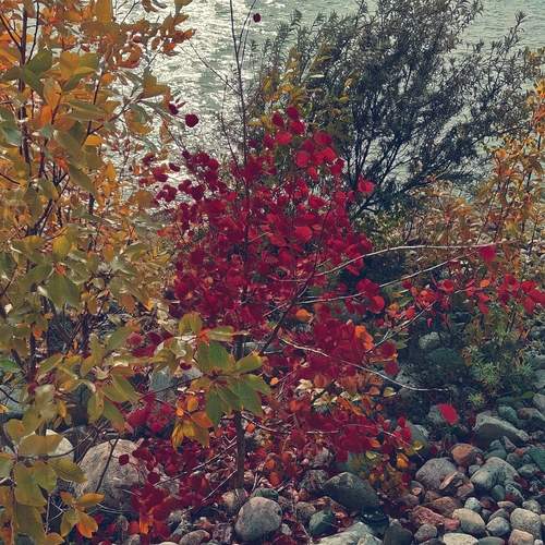 Photo #12594099