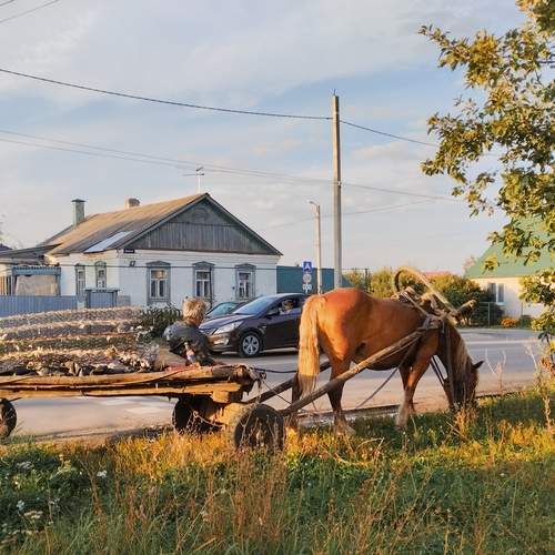 Photo #12594251