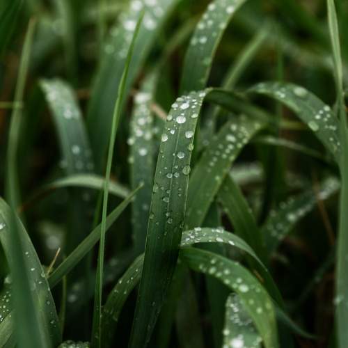 Photo #12594385