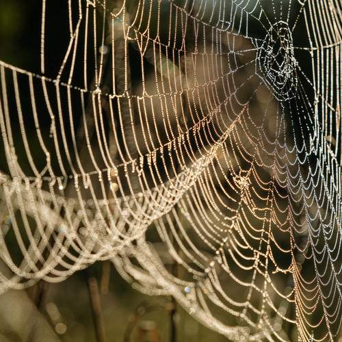 Photo #12594386