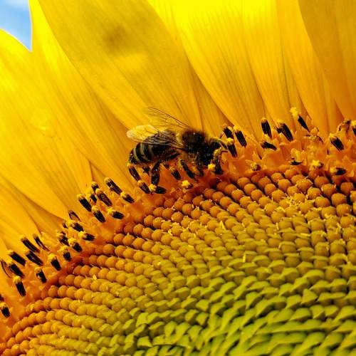 Photo #12594395